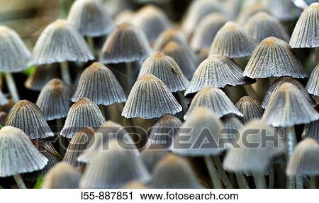 Photo View Large Photo Image Stock Image - Photo. Fotosearch