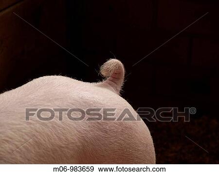 Photo View Large Photo Image Stock Photo - Photo. Fotosearch