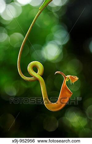Photo View Large Photo Image Stock Photograph - Photo. Fotosearch