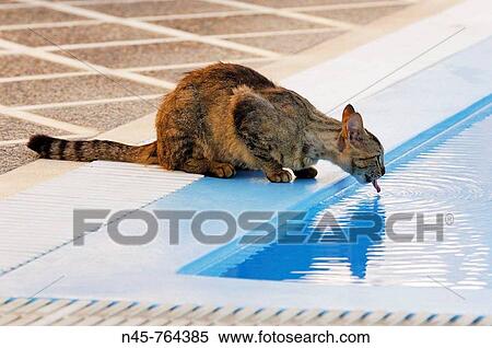 Photo View Large Photo Image Stock Photography - Photo. Fotosearch