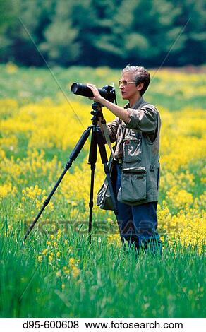 Photographer at work View Large Photo Image Stock Photo - Photographer at work. Fotosearch