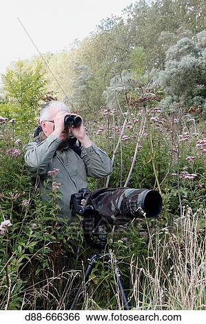 Stock Photograph - Photographer birdwatching, Marquenterre regional park. Somme Bay, Picardie, France. Fotosearch