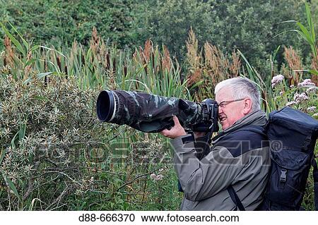 Photographer, Marquenterre regional park. Somme Bay, Picardie, France View Large Photo Image Stock Image - Photographer, Marquenterre regional park. Somme Bay, Picardie, France. Fotosearch