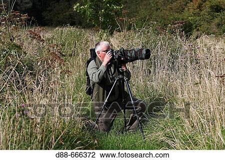Photographer, Marquenterre regional park. Somme Bay, Picardie, France View Large Photo Image Stock Image - Photographer, Marquenterre regional park. Somme Bay, Picardie, France. Fotosearch
