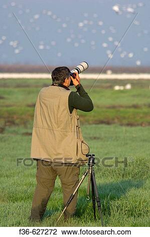 Stock Image - Photographer photographing migratory birds in winter, Merced National Wildlife Refuge, Central Valley, California, USA. Fotosearch
