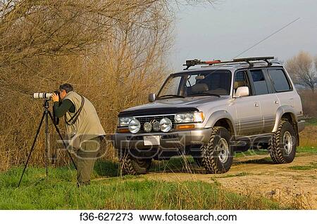 Photographer photographing riparian habitats next to SUV in the Merced National Wildlife Refuge, Central Valley, California, USA View Large Photo Image Stock Image - Photographer photographing riparian habitats next to SUV in the Merced National Wildlife Refuge, Central Valley, California, USA. Fotosearch