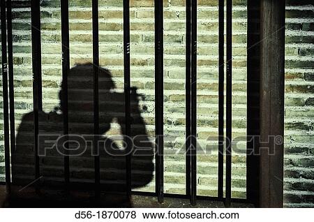 Photographer View Large Photo Image Stock Photo - Photographer. Fotosearch