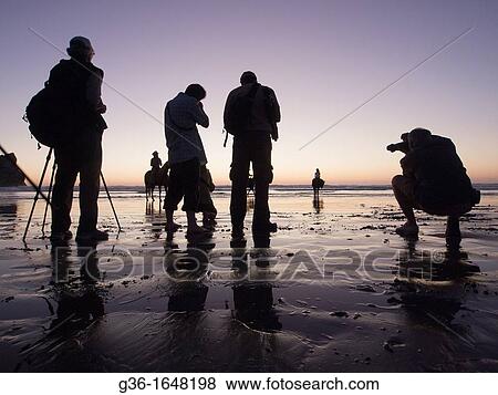 Photographers on the beach at sunset in Morro Bay, California, United States View Large Photo Image Stock Photo - Photographers on the beach at sunset in Morro Bay, California, United States. Fotosearch