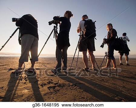 Photographers on the beach in Morro Bay, California, United States View Large Photo Image Stock Photography - Photographers on the beach in Morro Bay, California, United States. Fotosearch