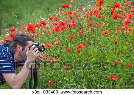 Photographing a red poppy flowers field View Large Photo Image Stock Image - Photographing a red poppy flowers field. Fotosearch