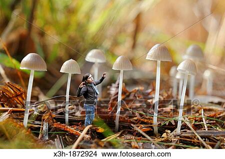 photomontage, little girl and fungus, Mycena leptocephala, Forest of Rambouillet, Yvelines department, Ile-de-France region, France, Europe View Large Photo Image Picture - photomontage, little girl and fungus, Mycena leptocephala, Forest of Rambouillet, Yvelines department, Ile-de-France region, France, Europe. Fotosearch