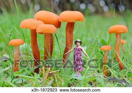 photomontage, little girl and fungus, laccaria laccata, Forest of Rambouillet, Yvelines department, Ile-de-France region, France, Europe View Large Photo Image Stock Image - photomontage, little girl and fungus, laccaria laccata, Forest of Rambouillet, Yvelines department, Ile-de-France region, France, Europe. Fotosearch
