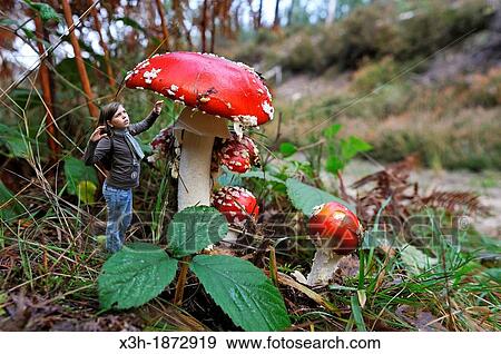 Stock Photo - photomontage, little girl under fly agaric, Amanita muscaria, Forest of Rambouillet, Yvelines department, Ile-de-France region, France, Europe. Fotosearch