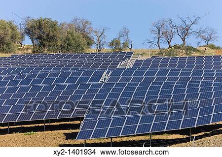 Photovoltaic or solar cells used to collect solar energy View Large Photo Image Picture - Photovoltaic or solar cells used to collect solar energy. Fotosearch