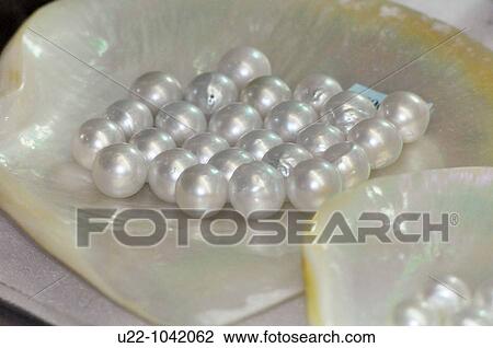 Phu Quoc (Vietnam): pearls sold in a shop View Large Photo Image Stock Image - Phu Quoc (Vietnam): pearls sold in a shop. Fotosearch