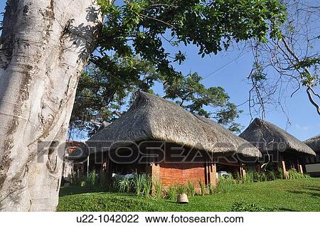 Phu Quoc (Vietnam): the spa bungalows at the Chen La Resort View Large Photo Image Stock Image - Phu Quoc (Vietnam): the spa bungalows at the Chen La Resort. Fotosearch