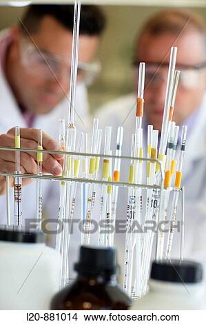 Picture - Physical Chemical Laboratory, Azti-Tecnalia, Marine and Food Research Technological Centre, Derio, Biscay, Basque Country, Spain. Fotosearch