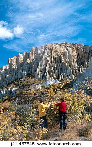 Stock Photography - Picking hawthorn berries. Clay Cliffs. Near Omarama. New Zealand.. Fotosearch