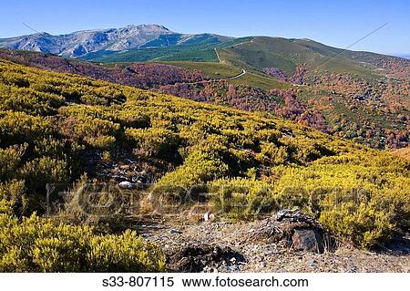 Stock Photography - Pico del Lobo desde el collado de las Lagunillas. Cuerda de la Pinilla. Sierra Norte. Castile-Leon. Spain.. Fotosearch
