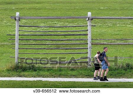 Picture was taken in Lipica. Slovenia. View Large Photo Image Stock Image - Picture was taken in Lipica. Slovenia.. Fotosearch