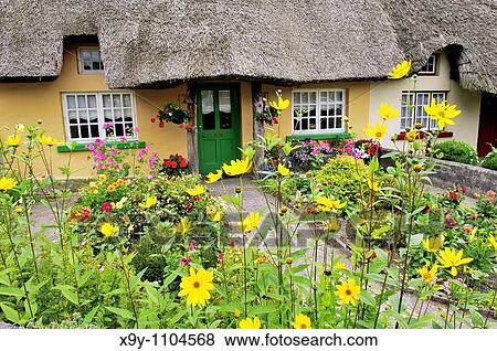 Stock Photo - Picturesque traditional thatched cottage with garden summer flowers in town of Adare, County Limerick, Ireland. Fotosearch