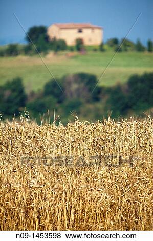 Pienza, Tuscany. View Large Photo Image Stock Photo - Pienza, Tuscany.. Fotosearch