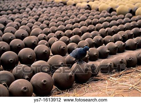 Pigeon on drying handmade pottery in Pottery square, medieval village of Bhaktapur, Kathmandu valley, Nepal, Asia View Large Photo Image Stock Image - Pigeon on drying handmade pottery in Pottery square, medieval village of Bhaktapur, Kathmandu valley, Nepal, Asia. Fotosearch