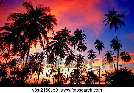 Pigeon Point Beach, Tobago. View Large Photo Image Stock Photo - Pigeon Point Beach, Tobago.. Fotosearch
