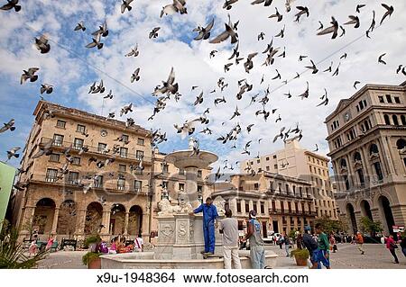 pigeons over the marble fountain Fuente de los Leones on Plaza de San Francisco in Havana, Cuba, Caribbean. View Large Photo Image Picture - pigeons over the marble fountain Fuente de los Leones on Plaza de San Francisco in Havana, Cuba, Caribbean.. Fotosearch