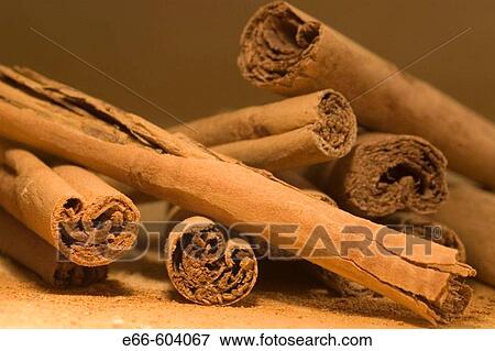 pile of cinnamon sticks View Large Photo Image Stock Photo - pile of cinnamon sticks. Fotosearch