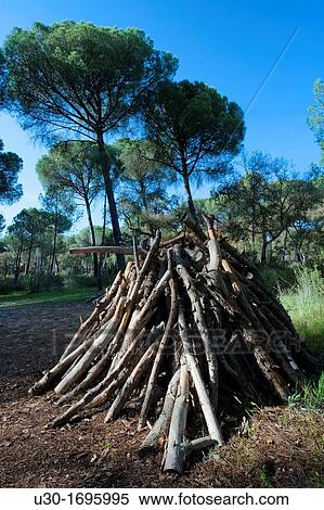 Pile of logs in La Balsa village, in Doana National Park, Huelva province Andalusia Spain View Large Photo Image Stock Photography - Pile of logs in La Balsa village, in Doana National Park, Huelva province Andalusia Spain. Fotosearch