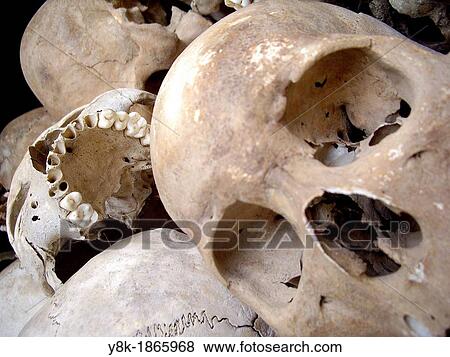 Pile of skulls at the Killing Fields in Choeung Ek, Cambodia View Large Photo Image Stock Photo - Pile of skulls at the Killing Fields in Choeung Ek, Cambodia. Fotosearch