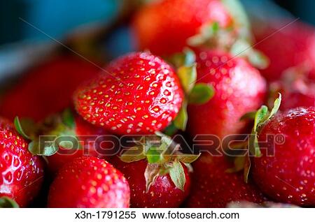 Pile of strawberries View Large Photo Image Stock Photography - Pile of strawberries. Fotosearch
