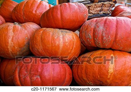 piles of pumpkins for sale View Large Photo Image Stock Photo - piles of pumpkins for sale. Fotosearch