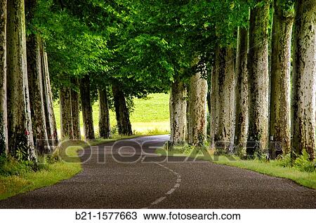 Pilgrimage way to Santiago de Compostela: between Nogaro and Aire sur Adour, Gers, Midi-Pyrenees, France View Large Photo Image Stock Image - Pilgrimage way to Santiago de Compostela: between Nogaro and Aire sur Adour, Gers, Midi-Pyrenees, France. Fotosearch