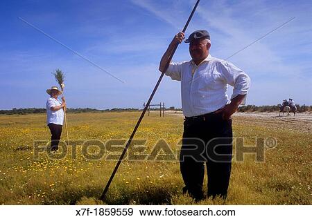 Pilgrims between Doana Palace and Rocio village, Romeria del Rocio, pilgrims on their way through the Doana National Park, pilgrimage of Sanlcar de Barrameda brotherhood, to El Roc? o, Almonte, Huelva province, Andalucia View Large Photo Image Stock Photo - Pilgrims between Doana Palace and Rocio village, Romeria del Rocio, pilgrims on their way through the Doana National Park, pilgrimage of Sanlcar de Barrameda brotherhood, to El Roc? o, Almonte, Huelva province, Andalucia. Fotosearch