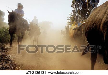 Pilgrims near Cerro del Trigo, Romeria del Rocio, pilgrims on their way through the Doana National Park, pilgrimage of Sanlcar de Barrameda brotherhood, to El Roc? o, Almonte, Huelva province, Andalucia. View Large Photo Image Stock Image - Pilgrims near Cerro del Trigo, Romeria del Rocio, pilgrims on their way through the Doana National Park, pilgrimage of Sanlcar de Barrameda brotherhood, to El Roc? o, Almonte, Huelva province, Andalucia.. Fotosearch