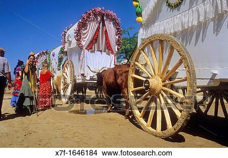 Picture - Pilgrims near Rocio village, Romeria del Rocio, pilgrims on their way through the Doana National Park, pilgrimage of Triana brotherhood, to El Roc? o, Almonte, Huelva province, Andalucia. Fotosearch