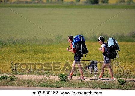 , Pilgrims to Santiago de Compostela, helping their dog View Large Photo Image Stock Image - , Pilgrims to Santiago de Compostela, helping their dog. Fotosearch
