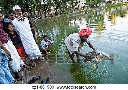 Stock Image - Pilgrims with Bostami Turtle at the pond of the Shrine of Bayazid Bostami, Chittagong, Bangladesh. Fotosearch