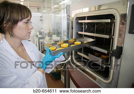 Pilot plant. Experimenting with liquid nitrogen in food. Oranges. Laboratories. AZTI-Tecnalia. Technological Centre specialised in Marine and Food Research. Sukarrieta, Bizkaia, Euskadi. Spain. View Large Photo Image Stock Image - Pilot plant. Experimenting with liquid nitrogen in food. Oranges. Laboratories. AZTI-Tecnalia. Technological Centre specialised in Marine and Food Research. Sukarrieta, Bizkaia, Euskadi. Spain.. Fotosearch