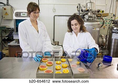 Pilot plant. Experimenting with liquid nitrogen in food. Oranges. Laboratories. AZTI-Tecnalia. Technological Centre specialised in Marine and Food Research. Sukarrieta, Bizkaia, Euskadi. Spain. View Large Photo Image Stock Image - Pilot plant. Experimenting with liquid nitrogen in food. Oranges. Laboratories. AZTI-Tecnalia. Technological Centre specialised in Marine and Food Research. Sukarrieta, Bizkaia, Euskadi. Spain.. Fotosearch
