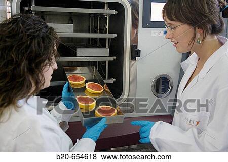 Pilot plant. Experimenting with liquid nitrogen in food. Oranges. Laboratories. AZTI-Tecnalia. Technological Centre specialised in Marine and Food Research. Sukarrieta, Bizkaia, Euskadi. Spain. View Large Photo Image Stock Photo - Pilot plant. Experimenting with liquid nitrogen in food. Oranges. Laboratories. AZTI-Tecnalia. Technological Centre specialised in Marine and Food Research. Sukarrieta, Bizkaia, Euskadi. Spain.. Fotosearch
