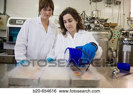 Stock Photograph - Pilot plant. Experimenting with liquid nitrogen in food. Oranges. Laboratories. AZTI-Tecnalia. Technological Centre specialised in Marine and Food Research. Sukarrieta, Bizkaia, Euskadi. Spain.. Fotosearch