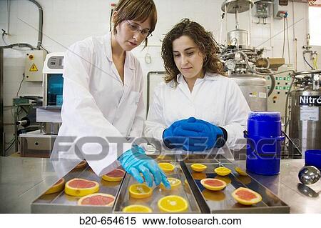 Pilot plant. Experimenting with liquid nitrogen in food. Oranges. Laboratories. AZTI-Tecnalia. Technological Centre specialised in Marine and Food Research. Sukarrieta, Bizkaia, Euskadi. Spain. View Large Photo Image Stock Photography - Pilot plant. Experimenting with liquid nitrogen in food. Oranges. Laboratories. AZTI-Tecnalia. Technological Centre specialised in Marine and Food Research. Sukarrieta, Bizkaia, Euskadi. Spain.. Fotosearch