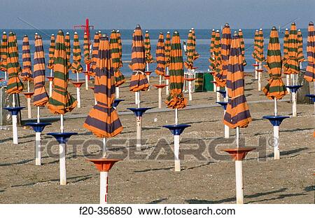 Pineta, near Grado. Friuli-Venezia Giulia, Italy View Large Photo Image Stock Image - Pineta, near Grado. Friuli-Venezia Giulia, Italy. Fotosearch