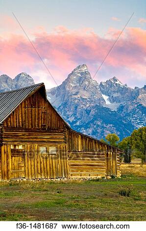 Pink clouds at dawn over mountains, old wooden barn, and trees in Fall, along Mormon Row, Grand Teton National Park, Wyoming View Large Photo Image Stock Photo - Pink clouds at dawn over mountains, old wooden barn, and trees in Fall, along Mormon Row, Grand Teton National Park, Wyoming. Fotosearch