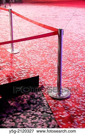 pink confetti on red carpet at event in rome italy View Large Photo Image Stock Photo - pink confetti on red carpet at event in rome italy. Fotosearch