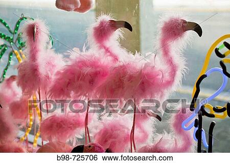 Pink feather Flamingos in a gift shop window. View Large Photo Image Stock Photograph - Pink feather Flamingos in a gift shop window.. Fotosearch