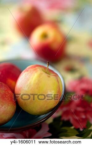 Pink lady apples View Large Photo Image Stock Image - Pink lady apples. Fotosearch